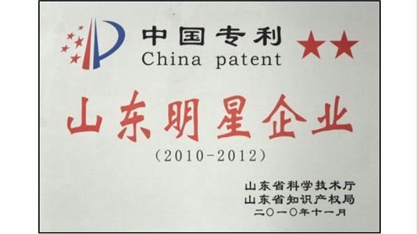 山东明星企业.jpg